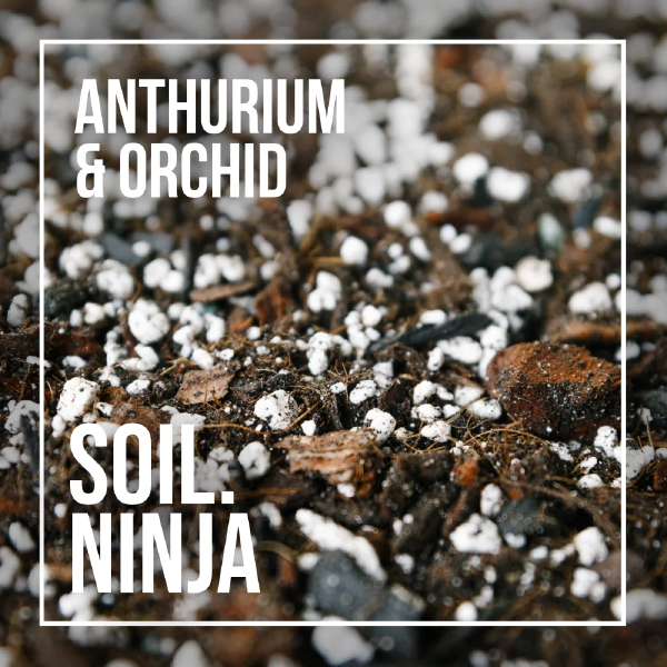 Soil Ninja - Anthurium & Orchid Blend