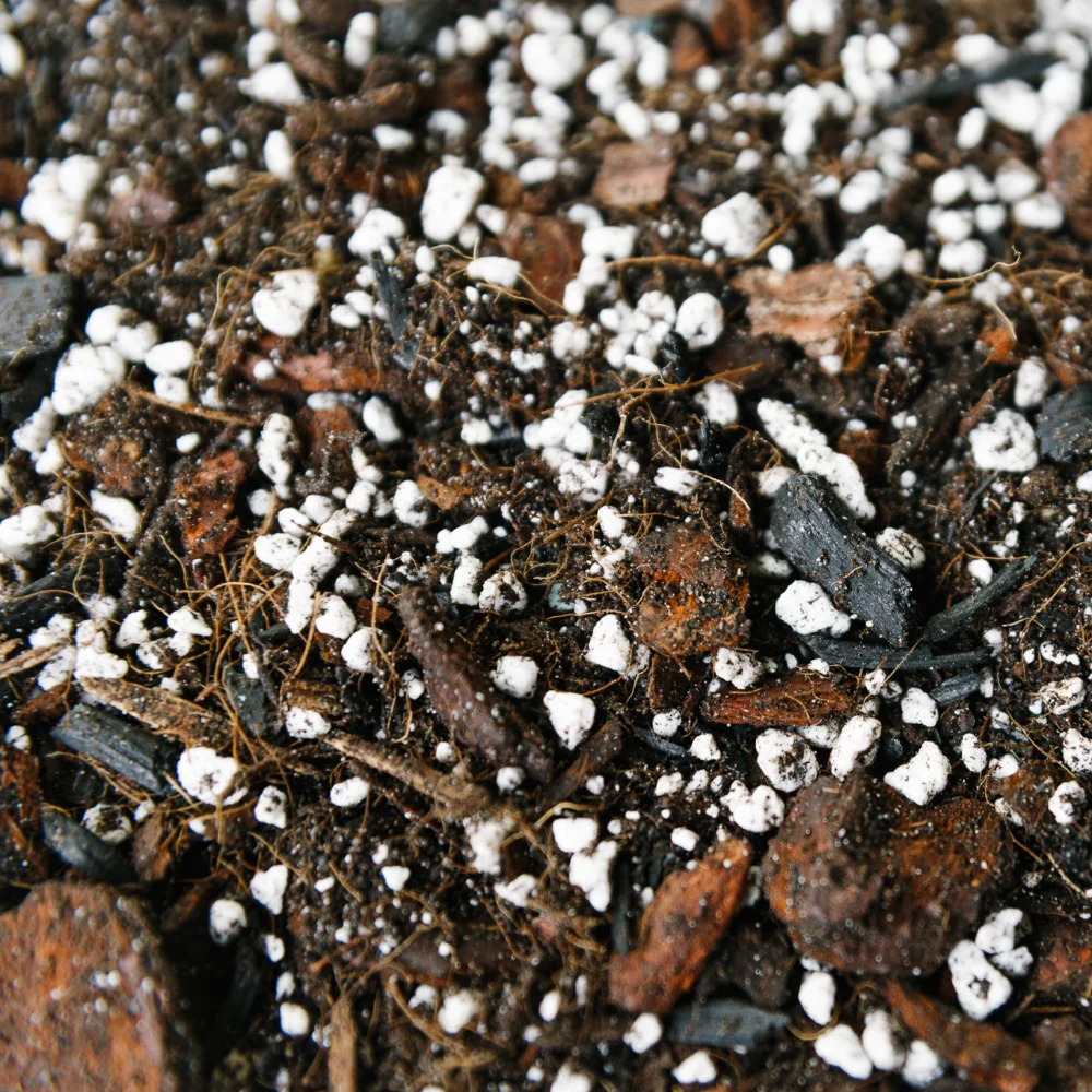 Soil Ninja - Anthurium & Orchid Blend