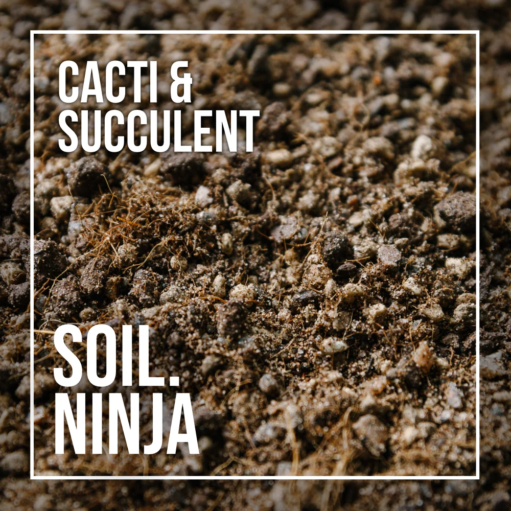 Soil Ninja - Cacti & Succulent Blend