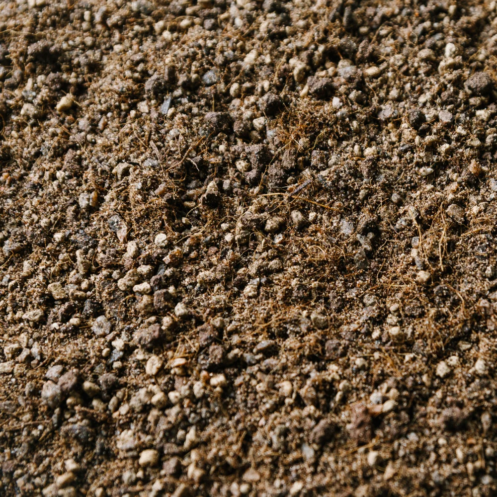 Soil Ninja - Cacti & Succulent Blend