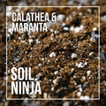 Soil Ninja -Calathea & Maranta Blend