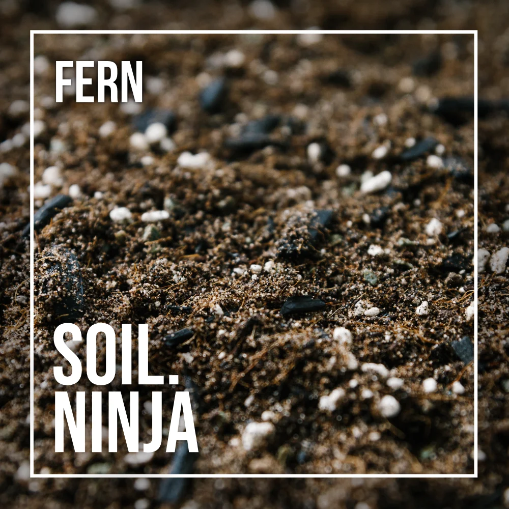 Soil Ninja - Fern Blend