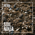 Soil Ninja - Fern Blend