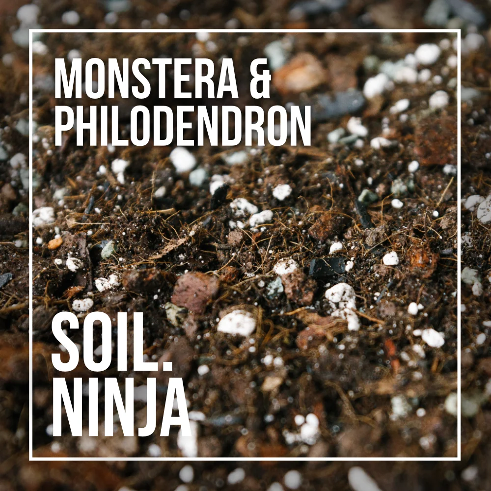 Soil Ninja - Monstera & Philodendron Blend