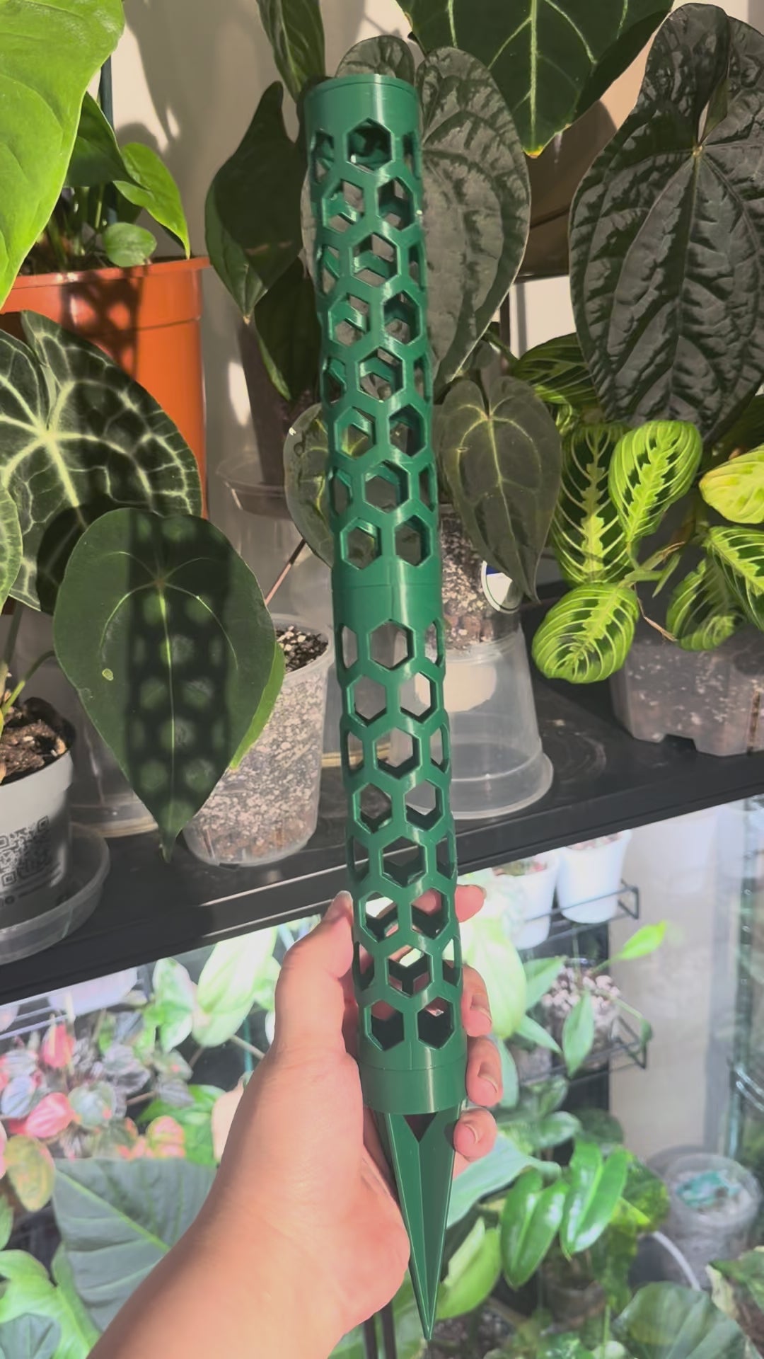 Grown By Marcus Slim Modular Moss Pole | Watering cap & Stake Included