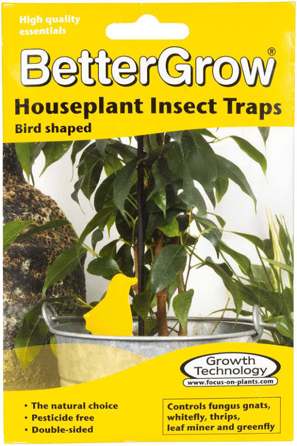 BetterGrow Houseplant Insect Traps – 15 Pack
