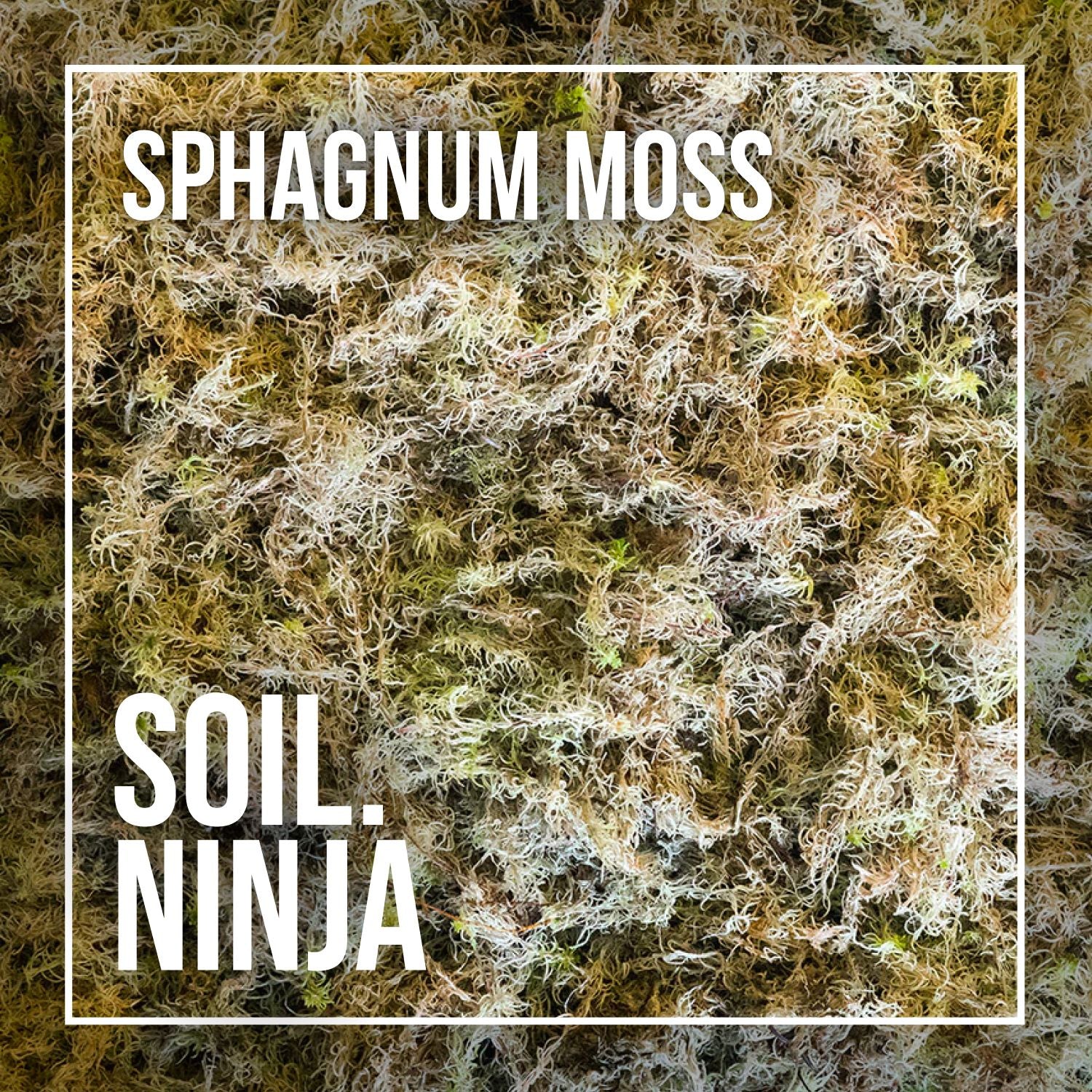 Soil Ninja -Sphagnum Moss