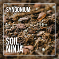 Soil Ninja - Syngonium Blend