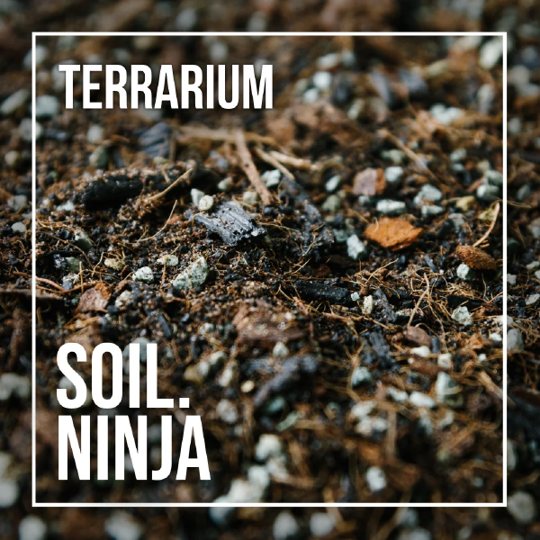 Soil Ninja - Terrarium Blend
